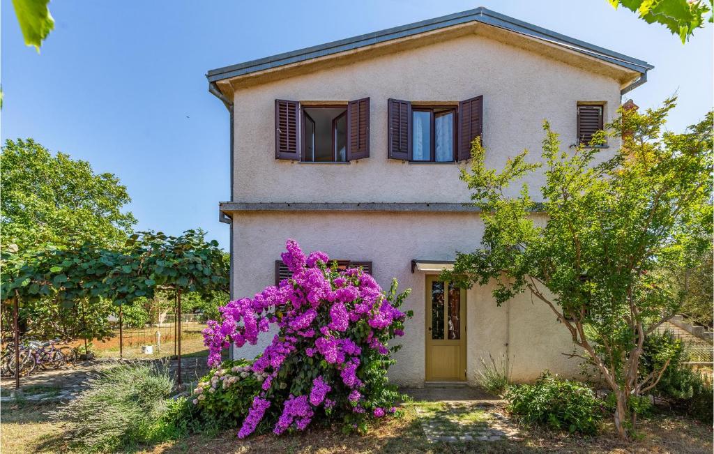Ogród w obiekcie One-Bedroom Apartment In Medulin