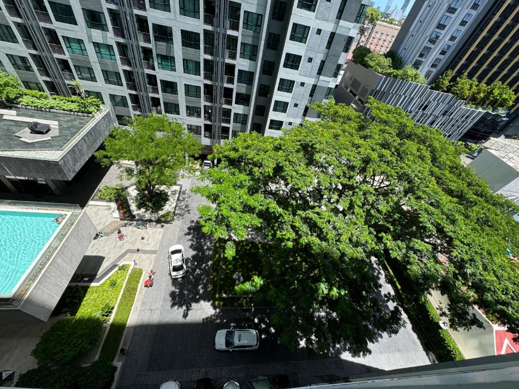 an overhead view of a city with a large tree at 芭提雅市中心The Base 高端公寓酒店 in Pattaya