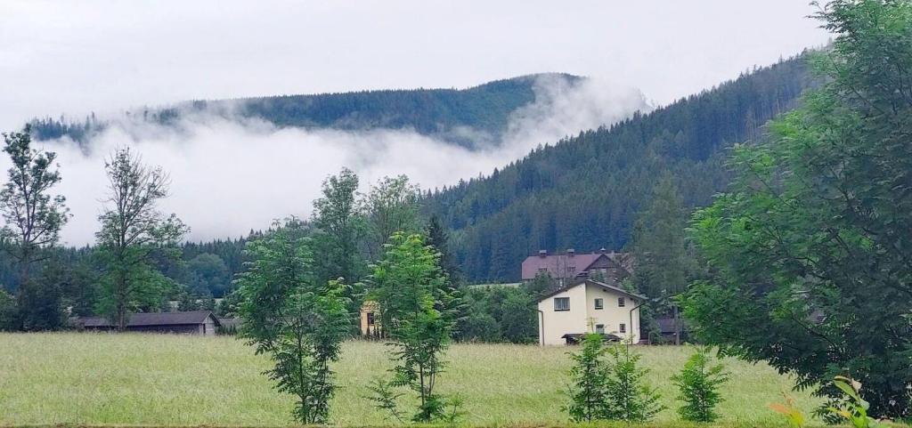 Příroda nedaleko apartmánu