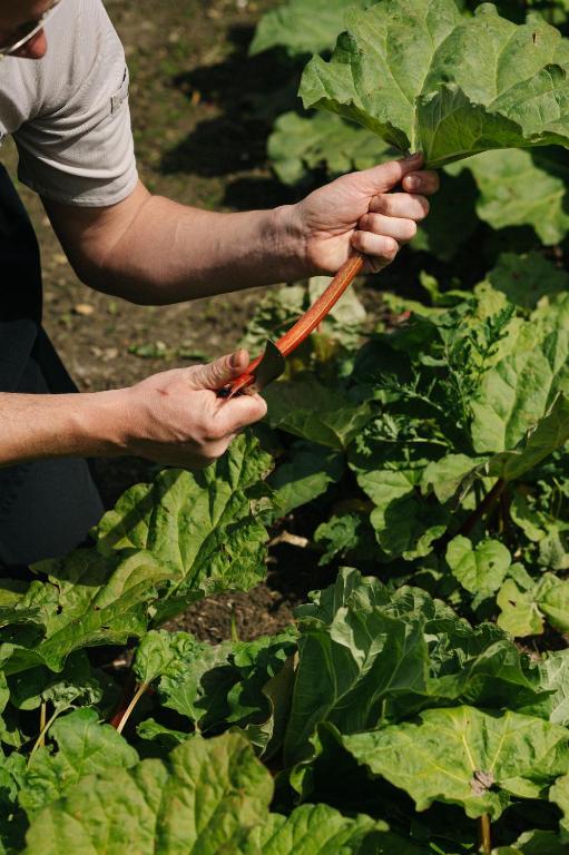 Château St Gerlach - Oostwegel Collection, member of Relais and Châteaux - Resim 25