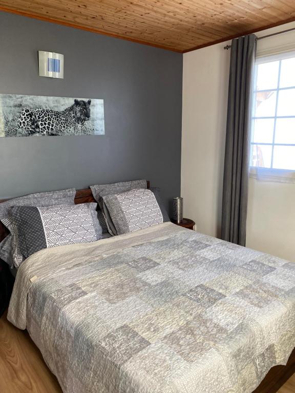 a bedroom with a large bed and a window at Location saisonnière A portée de vue in La Possession
