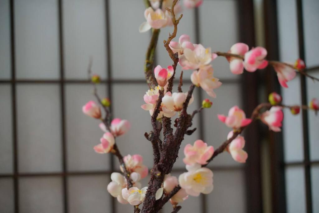 京都市にある条-雲井 聚楽廻 邂逅京都 享受宁静优雅的日式住宿のギャラリーの写真