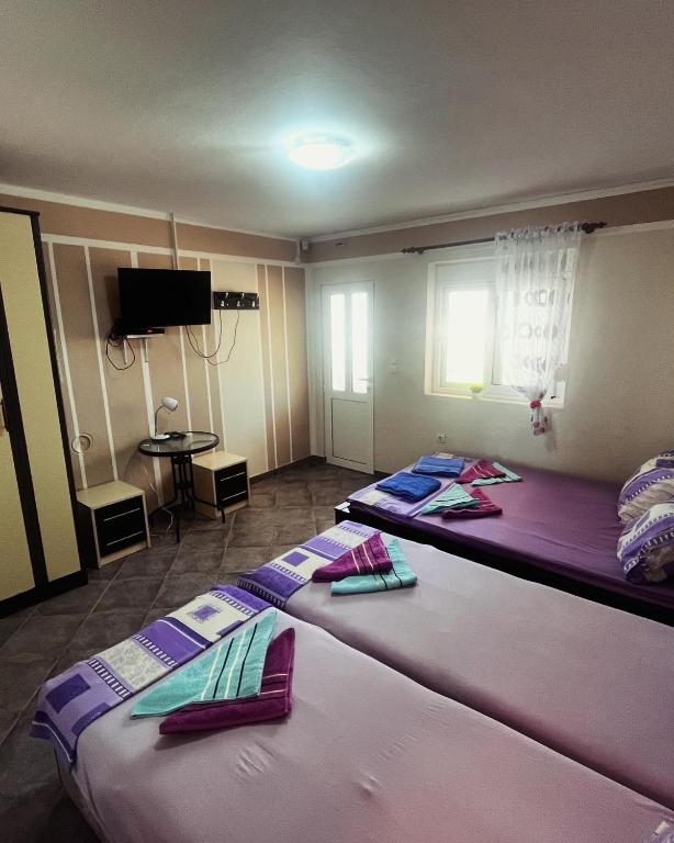 Apartments in villa Viktoria - Studio