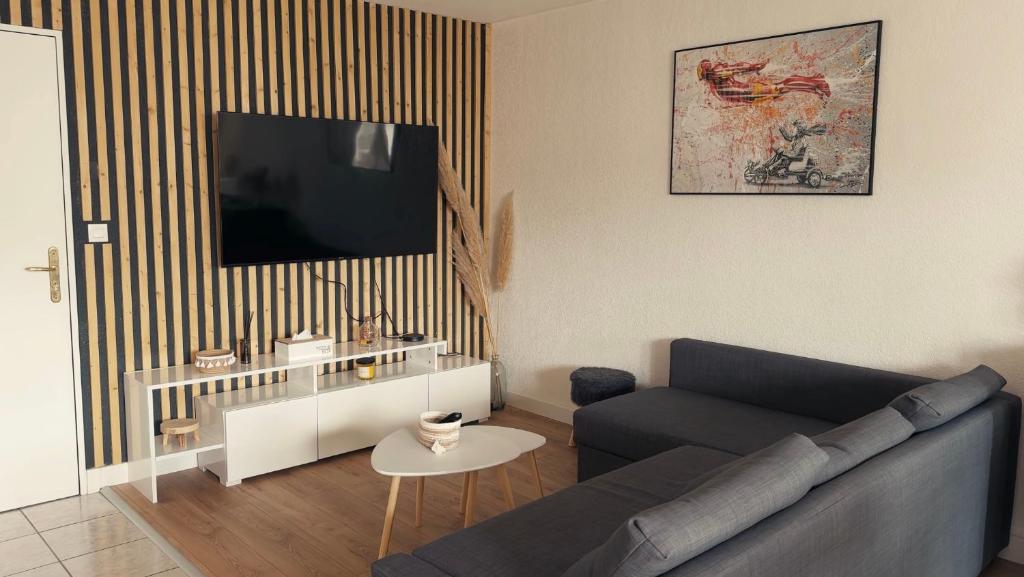 a living room with a couch and a tv at Appartement T3 Clermont-Ferrand in Clermont-Ferrand