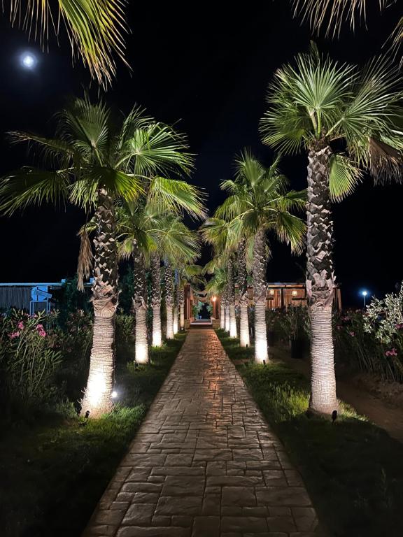 Κήπος έξω από το Kena Apartments - Lura 2 Resort