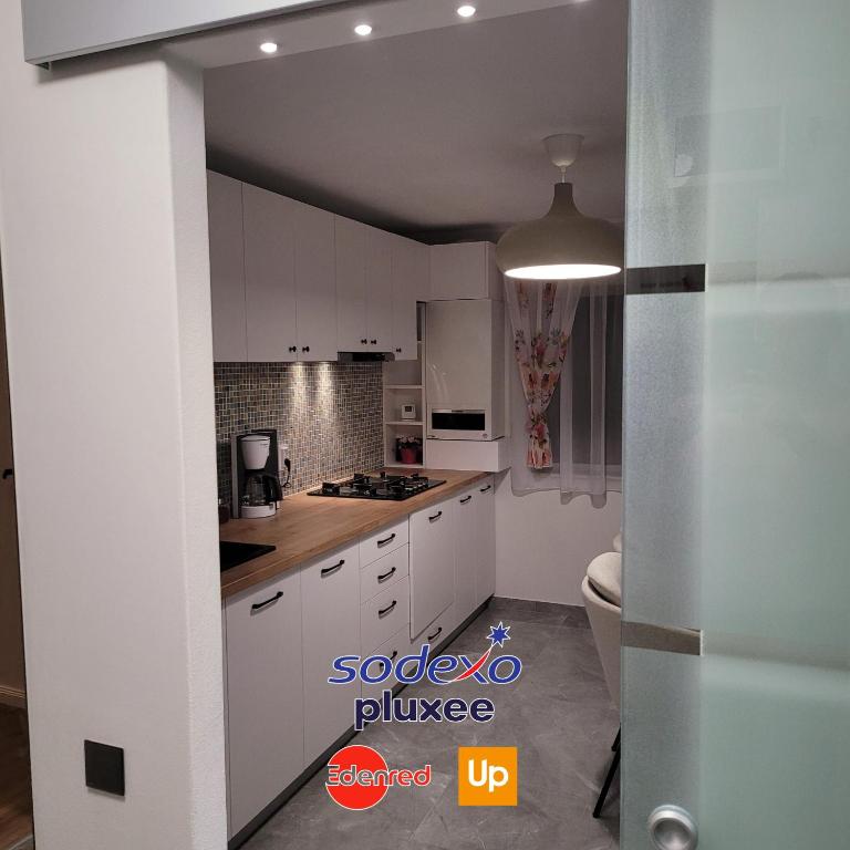 Kuchyň nebo kuchyňský kout v ubytování Hermann Apartment