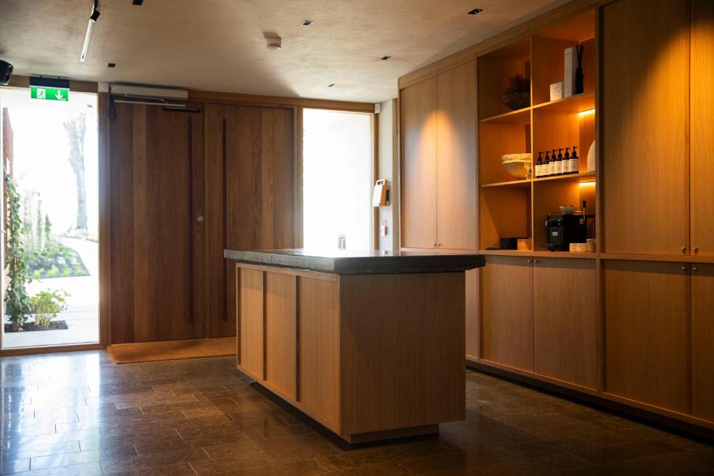 Kuchyň nebo kuchyňský kout v ubytování Hotel Vyn