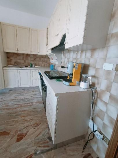 Kuchyň nebo kuchyňský kout v ubytování Le Api di PE'