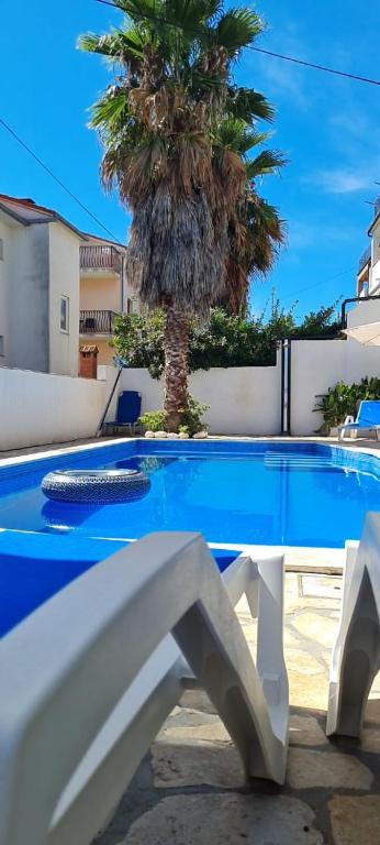 a palm tree sitting next to a swimming pool at Apartments Priko in Stari Grad