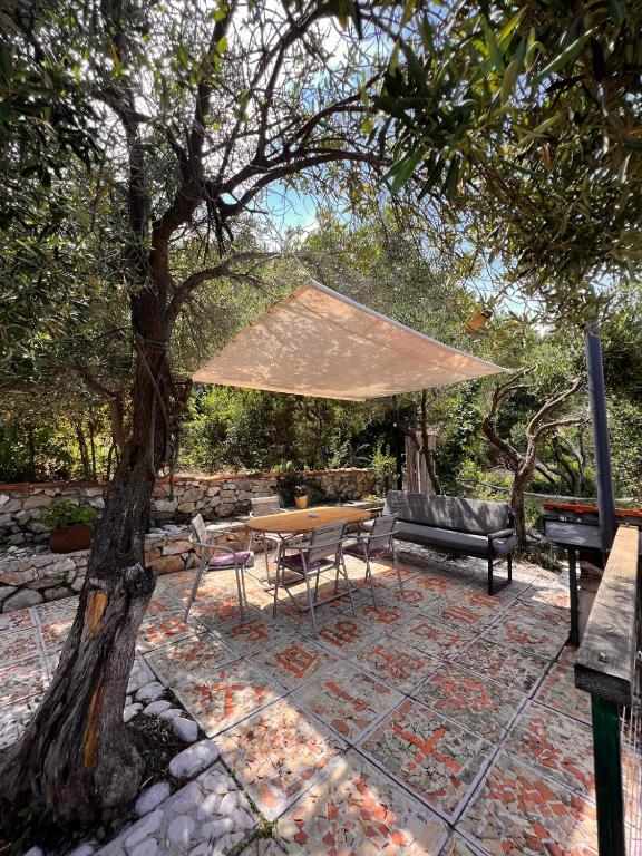 Κήπος έξω από το Seaside forest apartment