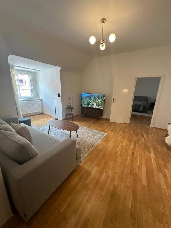 TV a/nebo společenská místnost v ubytování Graz 1464, Old City Center Apartments