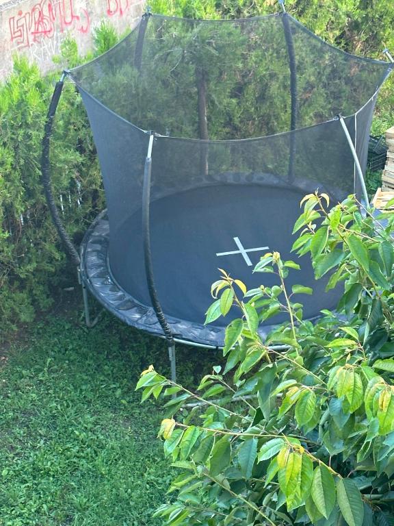 Zahrada ubytování Apartmani Fenix