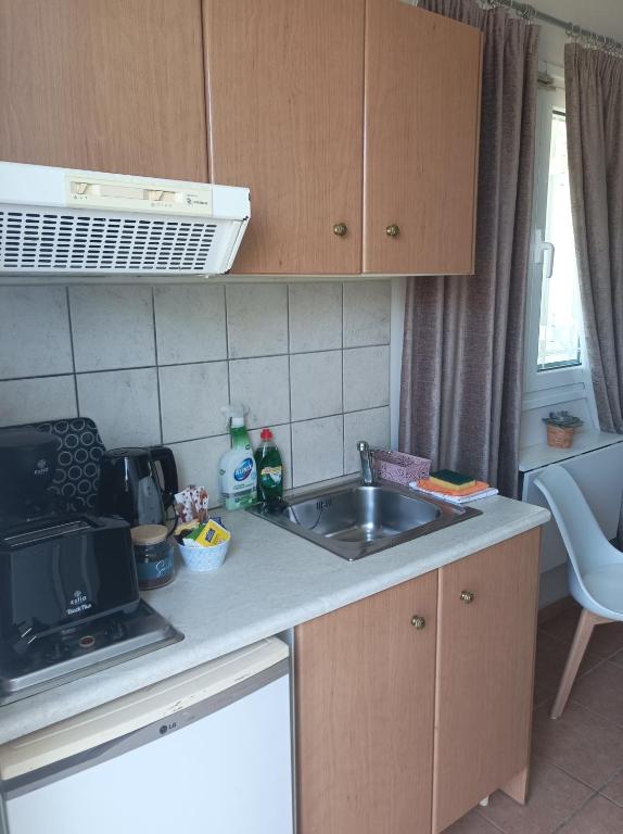 Kuchyň nebo kuchyňský kout v ubytování Nikolaos Studios Skala