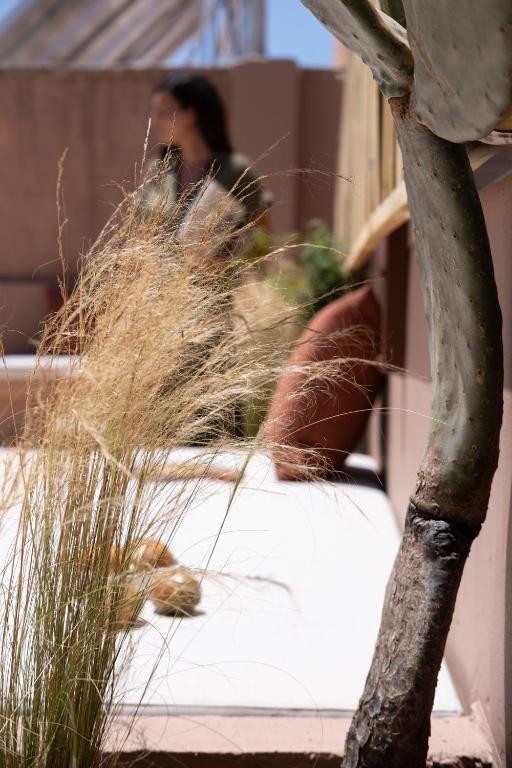 Qualia Slowlife Suites - Resim 28