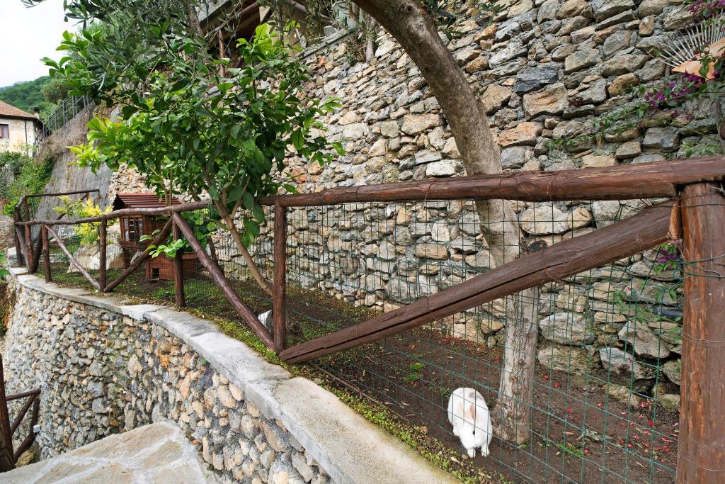 Fotografie z fotogalerie ubytování Agriturismo U' Spigu Nonna Annetta v destinaci Nasino