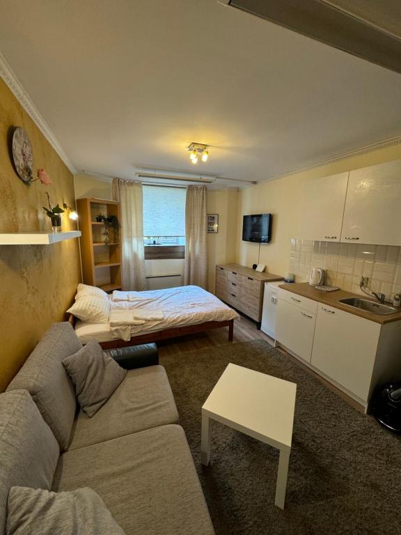 Studio On Tehnika 19 - Studio Apartment
