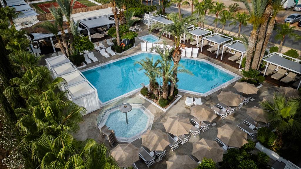 an overhead view of a swimming pool with chairs and palm trees at MARGADINA HOTEL in Ayia Napa