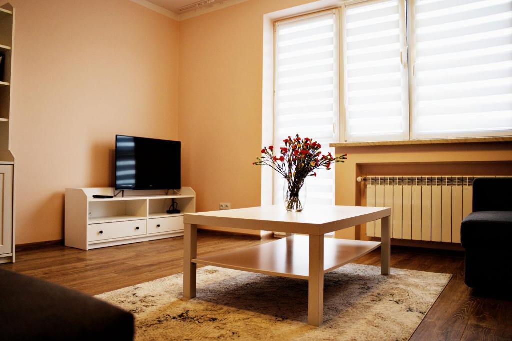 TV a/nebo společenská místnost v ubytování Magic Apartments - Garden