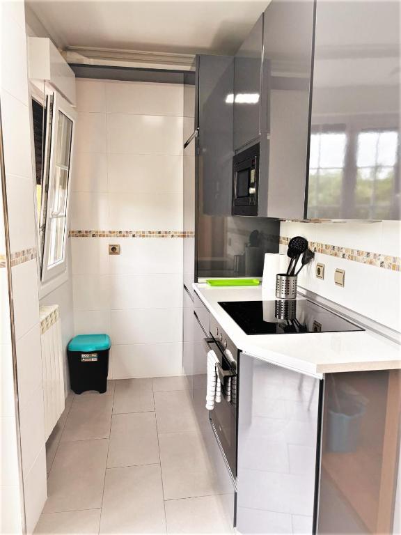 Kuchyňa alebo kuchynka v ubytovaní Apartamentos Del Pisuerga