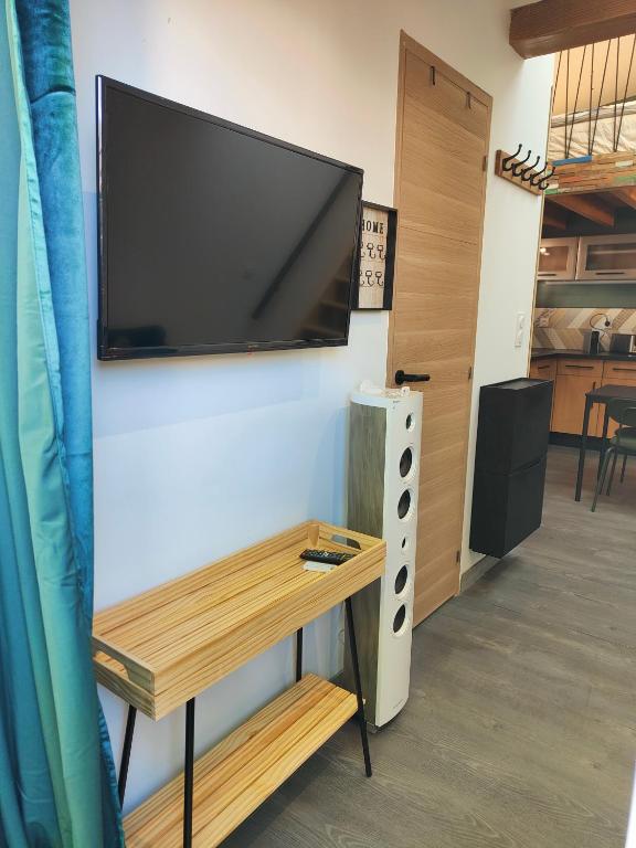 TV a/nebo společenská místnost v ubytování Tiny House avec jardin et accès piscine chauffée