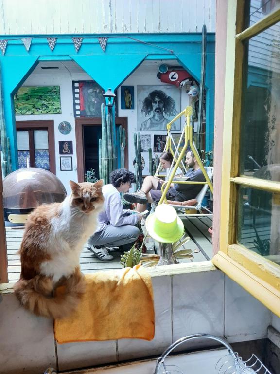 Uma área de estar em Art Hostel Casa Chaman