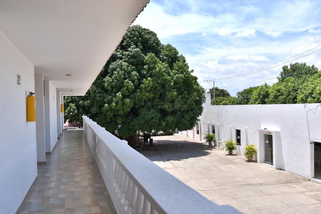 Fotografie z fotogalerie ubytování Hotel Winsor v destinaci Fonseca