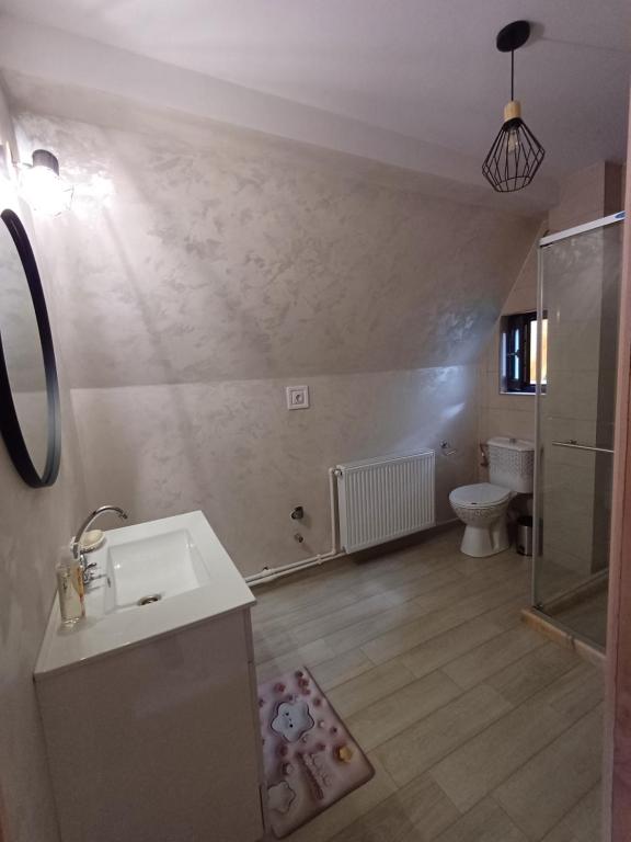 Koupelna v ubytování COLȚ DE RAI - A Frame