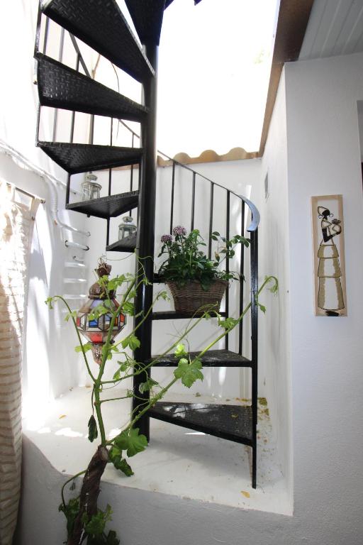 Hostal Las Acacias - 12