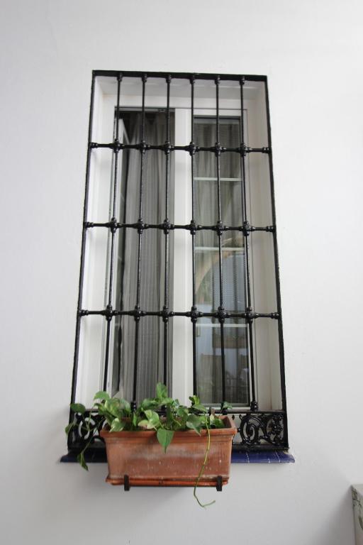 Hostal Las Acacias - 13