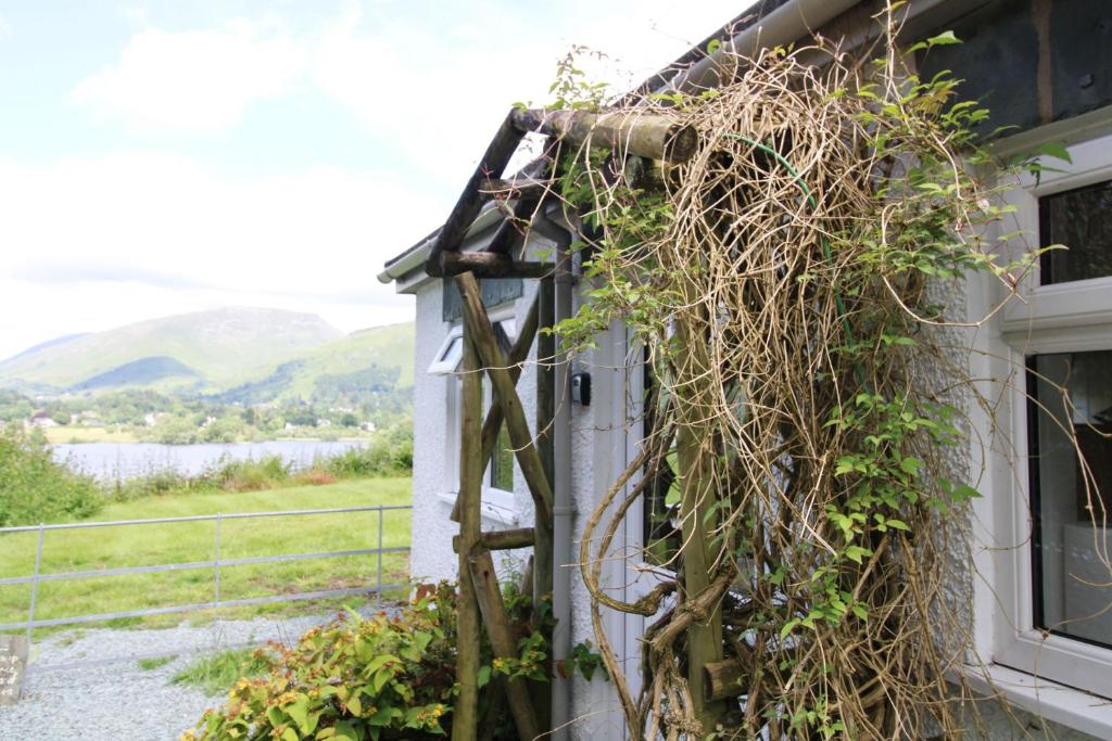 a house with vines growing on the side of it at Grasmere View Grasmere in Grasmere