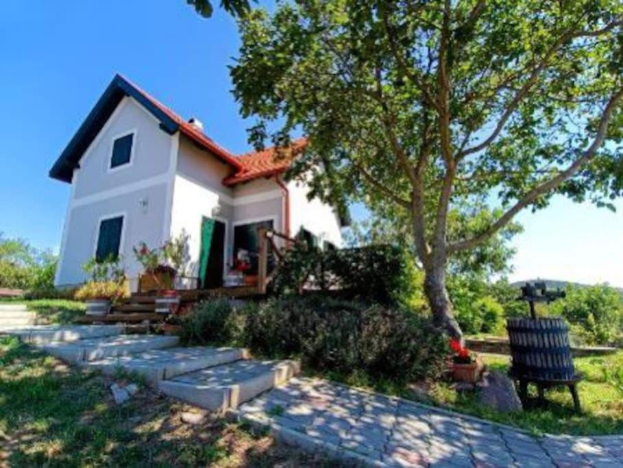 Panorámaház Lovason 8228 Lovas, Malomvölgy utca 16 kép - 1