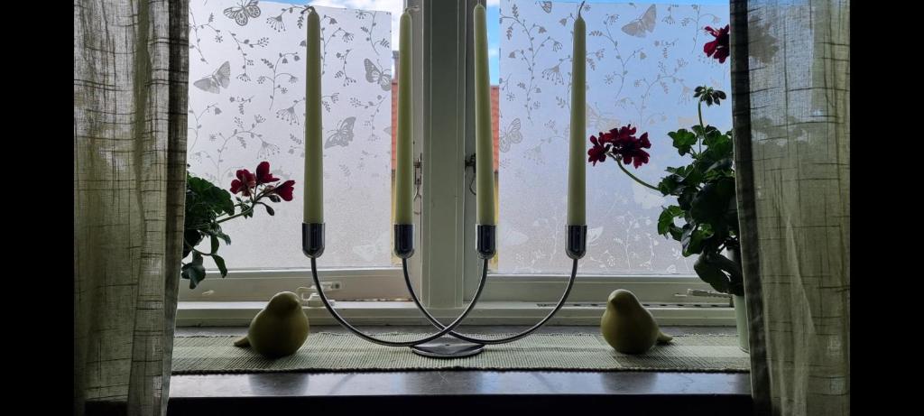 Fotografie z fotogalerie ubytování Mysig 1a med Minispa, 20 min från Kinnekulle v destinaci Götene