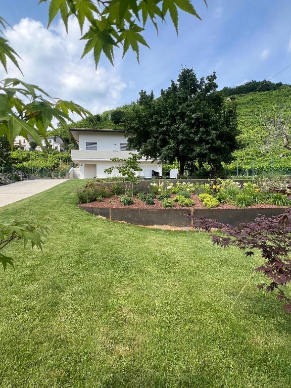 Zahrada ubytování el Zhìgol B&B