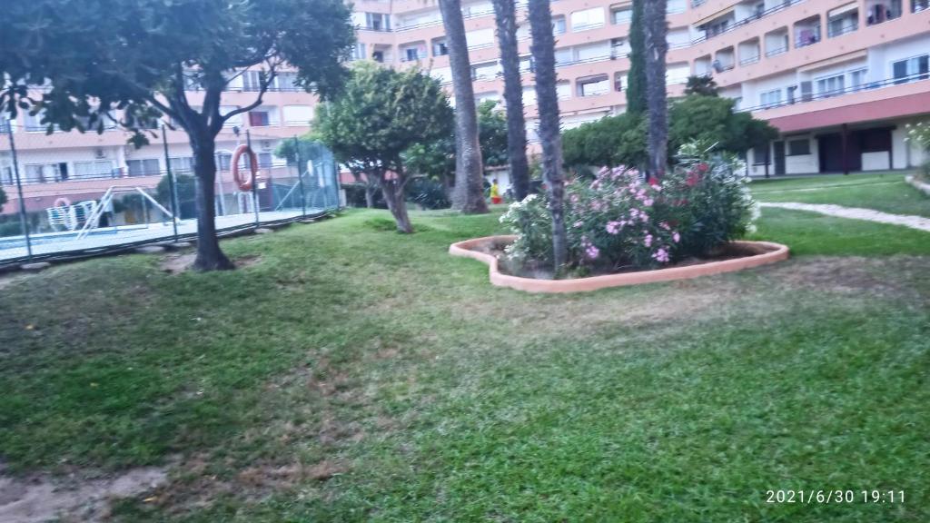 studio cabine islas de rosas