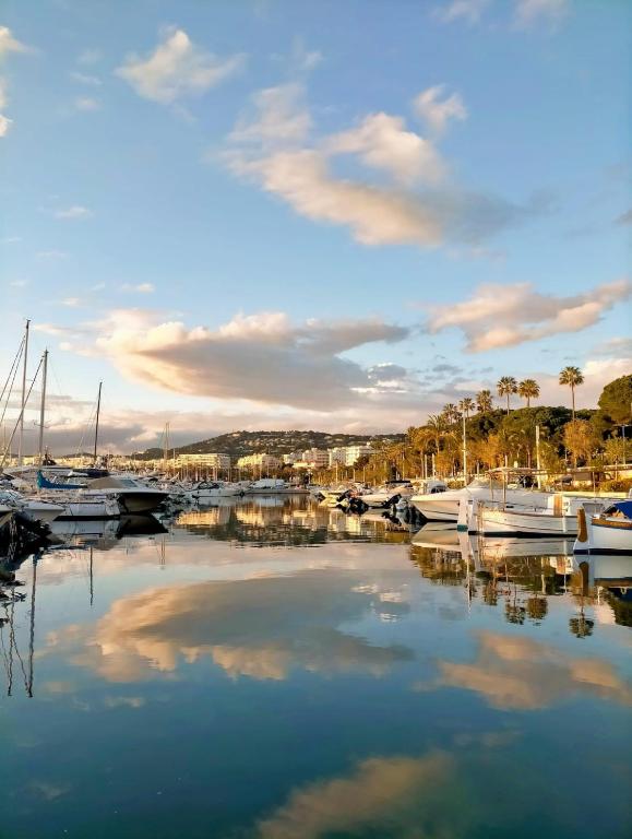 un groupe de bateaux amarrés dans un port de plaisance dans l'établissement Chambre cosy dans T3, à Cannes