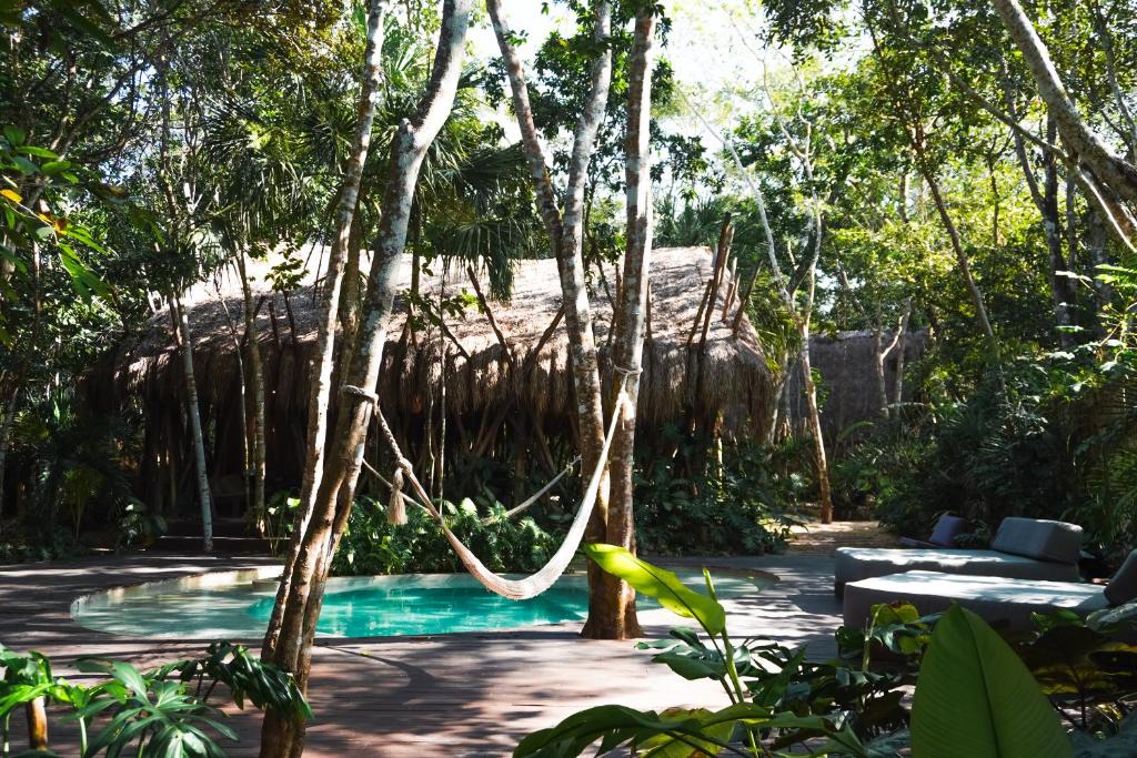 Zahrada ubytování Naya Bacalar Lagoon Front Hotel