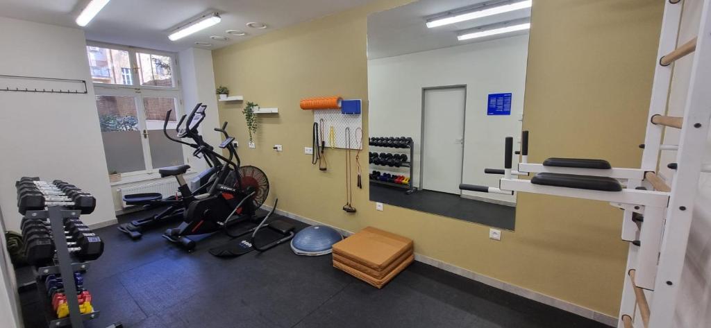 Fitness centrum a/nebo fitness zařízení v ubytování CORU House
