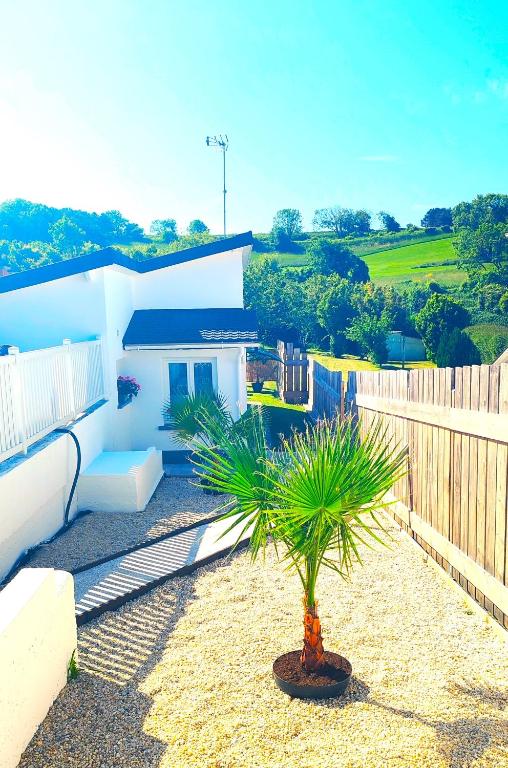 un palmier dans une cour à côté d'une maison dans l'établissement Maison des Palmiers - Bord de mer et campagne, à Port-en-Bessin-Huppain