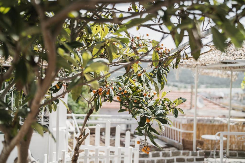 Κήπος έξω από το The Garden House