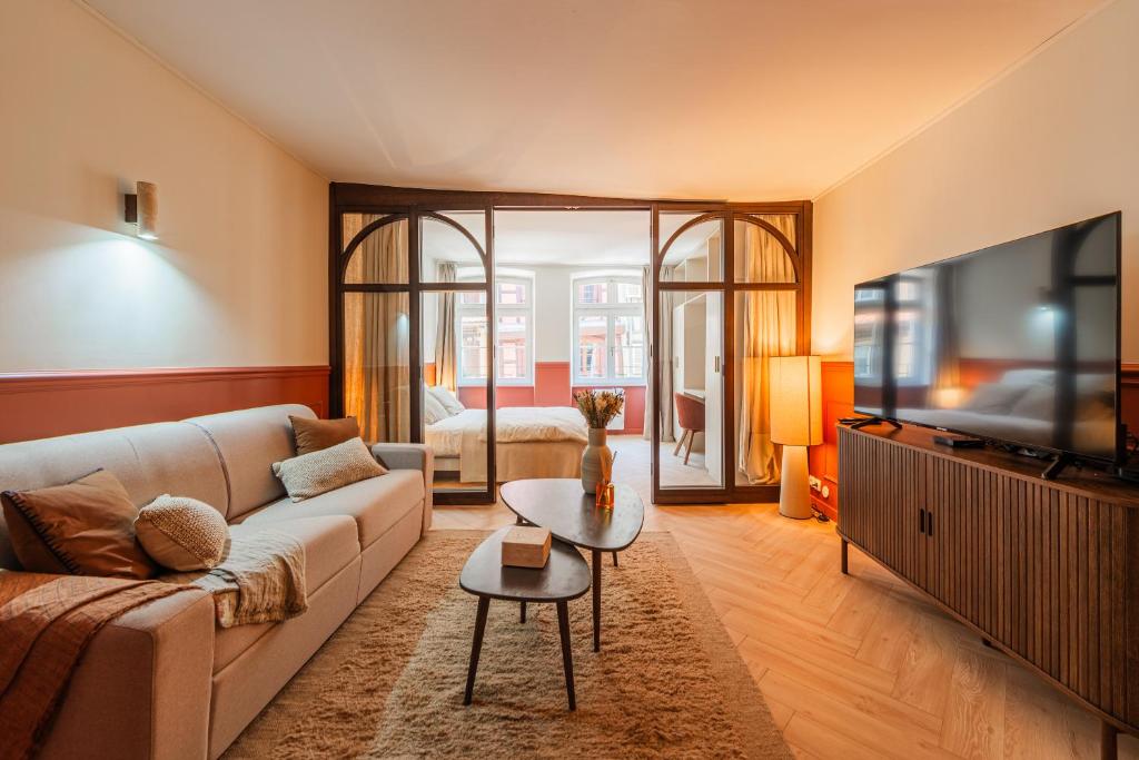un salon avec un canapé et une télévision dans l'établissement Cosy T2 Grand'Rue, à Strasbourg