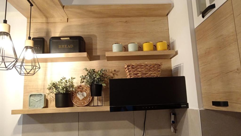 Kuchyň nebo kuchyňský kout v ubytování Apartman Mijatovic