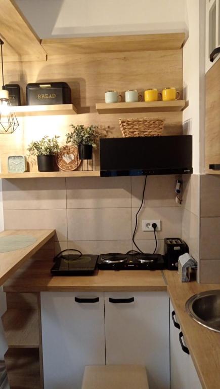 Kuchyň nebo kuchyňský kout v ubytování Apartman Mijatovic