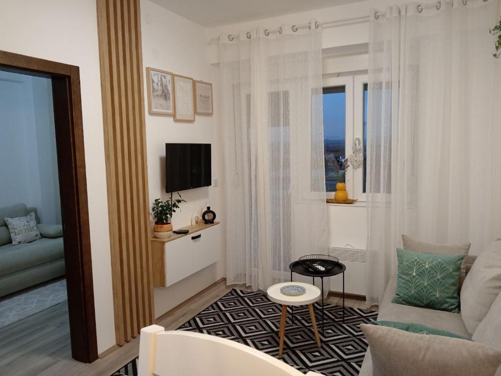 TV a/nebo společenská místnost v ubytování Apartman Mijatovic
