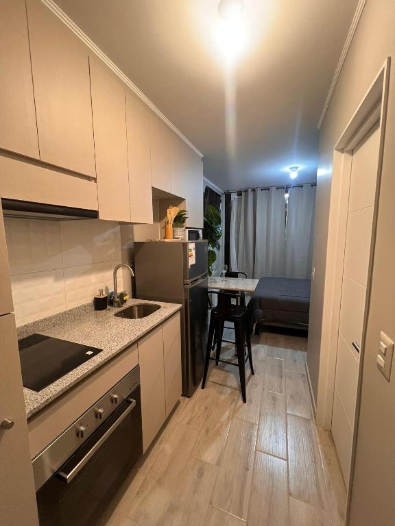 Departamento central, Pitrufquén