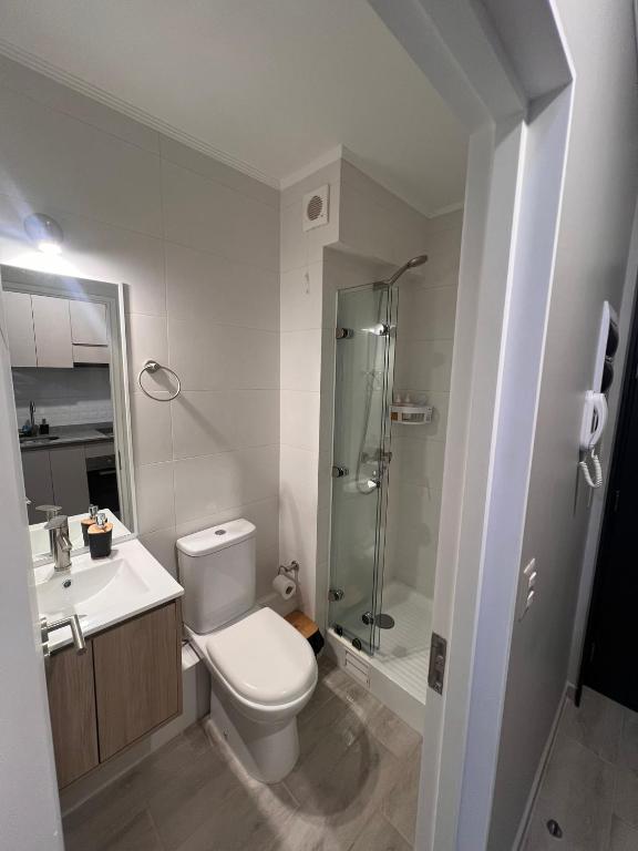 Departamento central, Pitrufquén