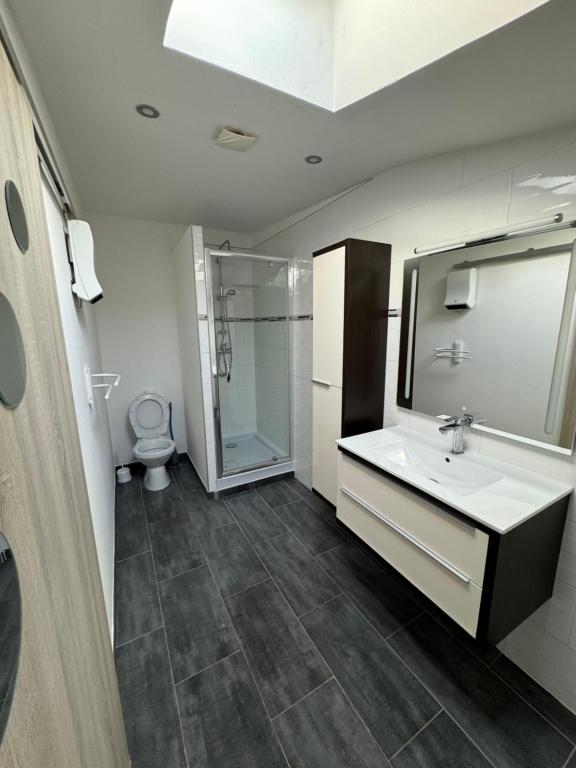 une salle de bain avec un lavabo, une douche et des toilettes dans l'établissement Appartement 2A, à Avignon