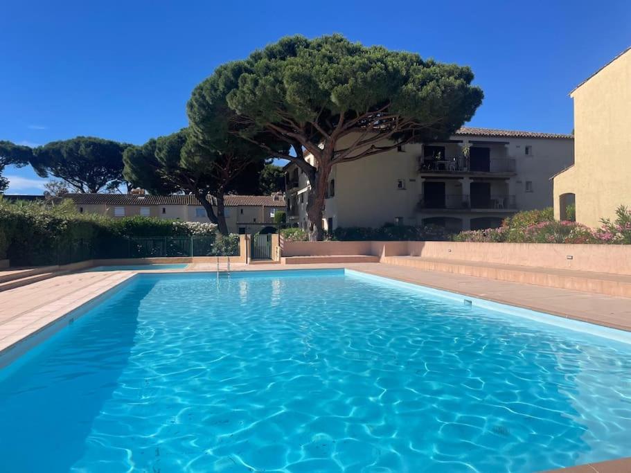 une grande piscine bleue avec un arbre en arrière-plan dans l'établissement Grand studio à 5 min de la plage, à La Garonnette-Plage