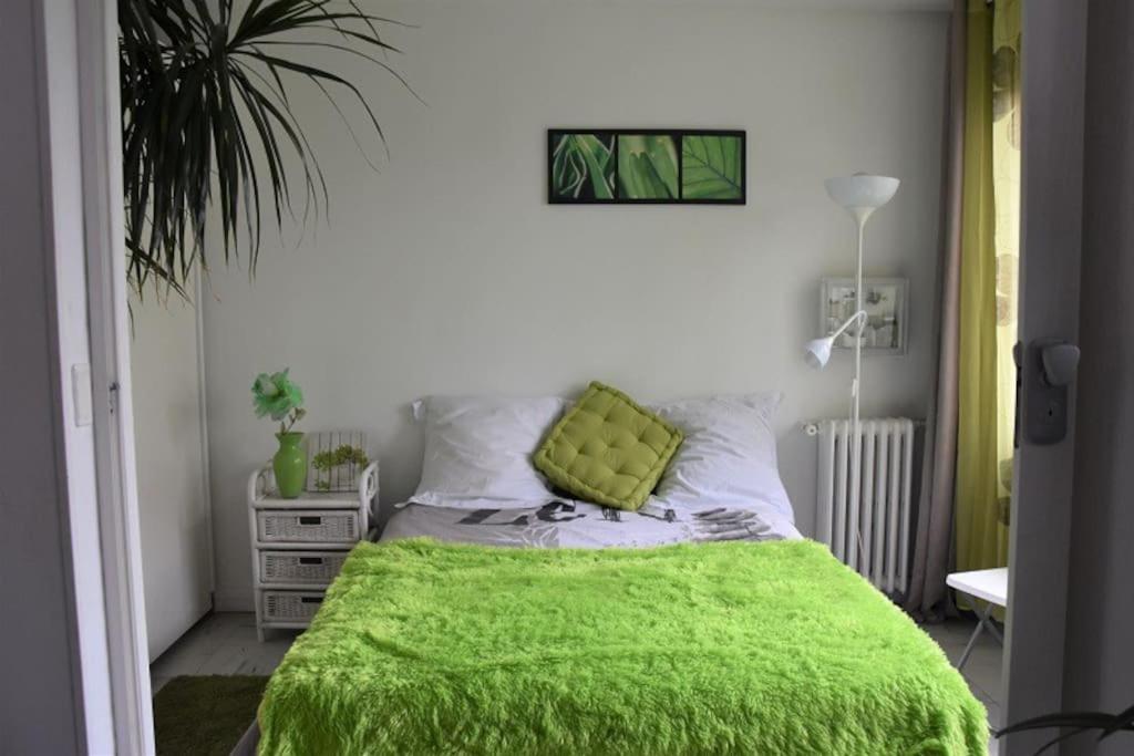 - une chambre avec une couverture verte sur un lit dans l'établissement Lumineux logement T4 proche bois Vincennes, à Vincennes