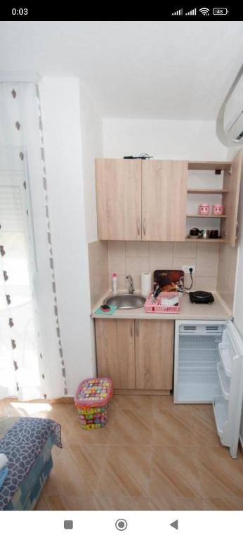 Studio Apartments Tea - 阳台工作室