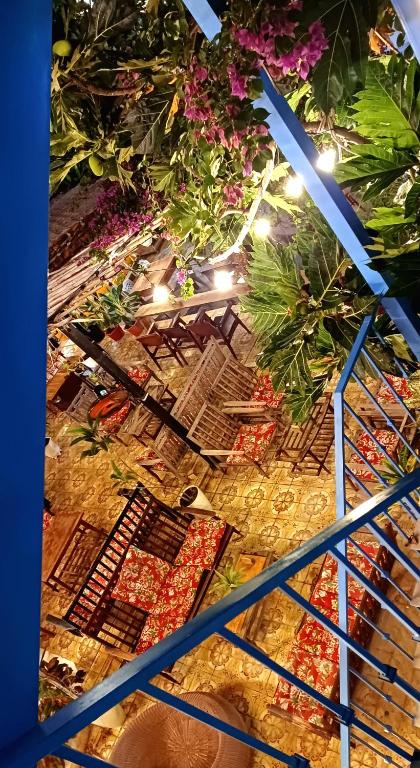 Vườn quanh Maidi Homestay Mui Ne